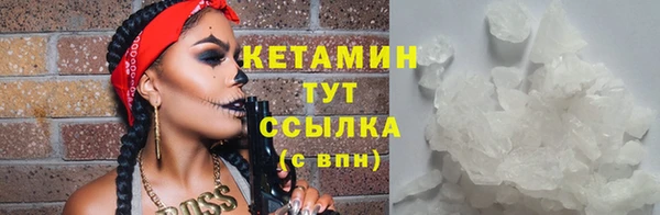 индика Сосновоборск